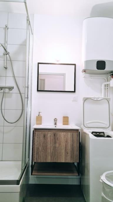 Le Cosy Central Moderne Et Chaleureux 圣艾蒂安 外观 照片
