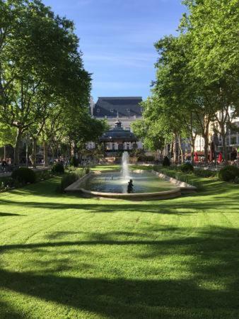 Le Cosy Central Moderne Et Chaleureux 圣艾蒂安 外观 照片